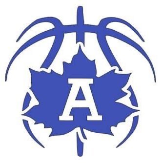 Adrian HS boys basketball—Adrian, MI