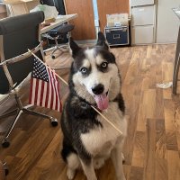 Av F (@tjquant) 's Twitter Profile