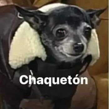 SoyCornudo_OF's profile picture. 