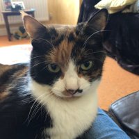 Kathryn Evans (@kathryn52160597) 's Twitter Profile Photo