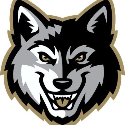 Official Account Of The Silver Wolfs Recruitment , HC Marcus Flemeus, The Silvers Wolfs Are Here Now On Twitter🐺 2x PC Award Winner, We Create Real Dawgs.