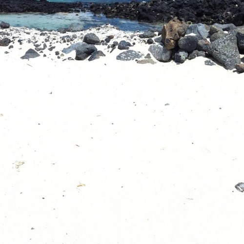 gladlehlwnfrp's profile picture. 