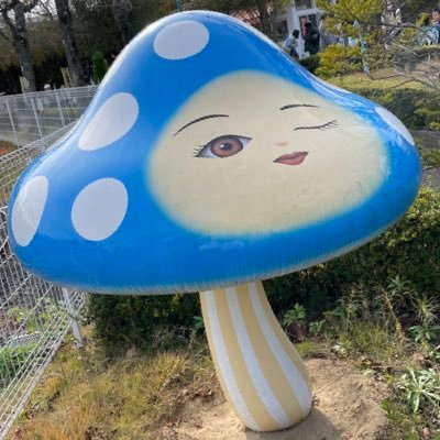 雑多なことをつぶやいてます。 子育てに関する政策に関心があります。 いいね👍は共感だけでなく反対意見でも勉強になったりなるほどと思った時に押させて頂きます！ #年少扶養控除復活 教育支援の　#所得制限撤廃 #こども家庭庁いらない