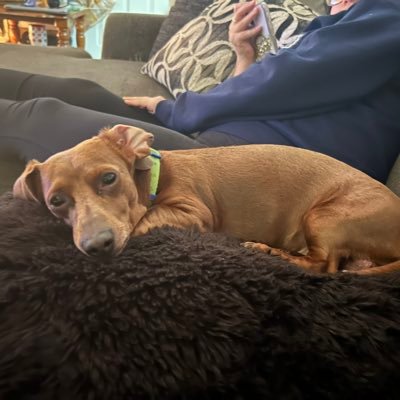 Crystalita_T90's profile picture. BSN, RN   💕😘👩🏽‍⚕️🇲🇽