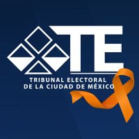 Tribunal Electoral de la Ciudad México(@TECDMX) 's Twitter Profile Photo