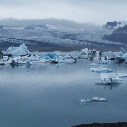 oscar_ser's profile picture. 