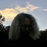 nohighs's profile picture. doing a lot and doing it well - DM for IRL/URL audio/visual work at any scale