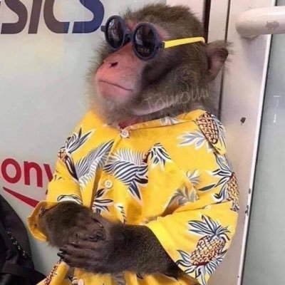 THRSHR's profile picture. I tried to quit social media.