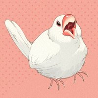 那生 (@nu_no_nu) 's Twitter Profile Photo 那生 (@nu_no_nu) 's Twitter Profile Photo