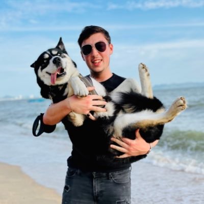 💼 Business & 🛩 Travel with my Siberian Husky | All My Links! ⤵️