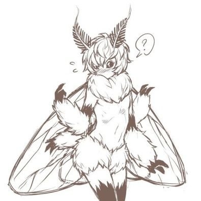 Bug ~moth femboy~ {busy}