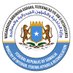 @MoIFARSomalia