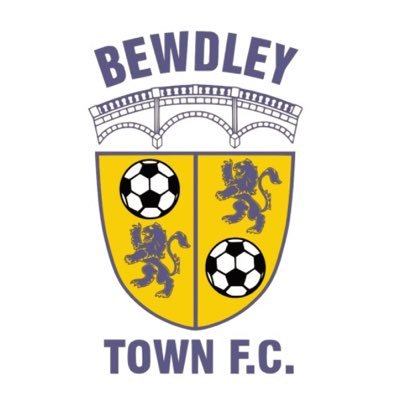 BewdleyTownLadiesFC