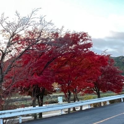 京都大学