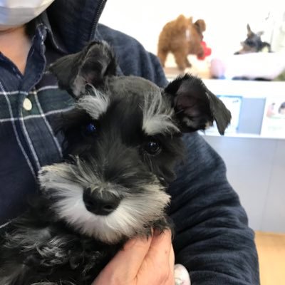 0kOAveCn9k11386's profile picture. 