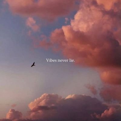 DBwoiy5964's profile picture. 