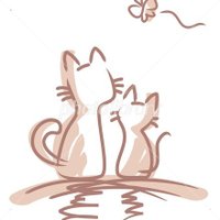 気ままな配達員@福岡🐸 (@i1sp3becpw5hpjs) Twitter profile photo