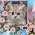 Mirta_Laprida (@mirtlaprida) Twitter profile photo Mirta_Laprida (@mirtlaprida) Twitter profile photo