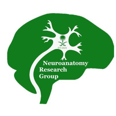 Analyze to improve knowledge and produce world class Neuroanatomy cadaveric and clinical publication