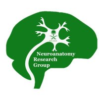 Neuroanatomy Research group(@NeuroanatomyRG) 's Twitter Profile Photo