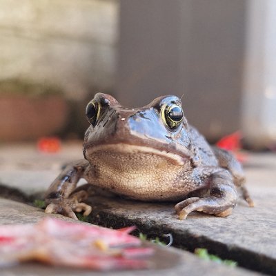 MP_Hammy's profile picture. The effect you have on others is the most valuable currency there is