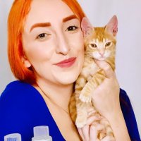 Projeto Mia Casa 🐱 (@projetomiacasa) 's Twitter Profile Photo Projeto Mia Casa 🐱 (@projetomiacasa) 's Twitter Profile Photo