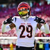 Just Another Bengals Fan(@JustaBengalsFan) 's Twitter Profile Photo