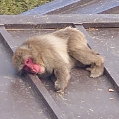 ebihara_bngeki's profile picture. ご縁で繋がるこのご時世