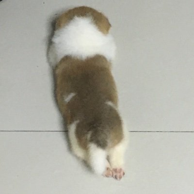 ccccwwwwwww's profile picture. 岁月虽然会流逝，山川却不会遗忘