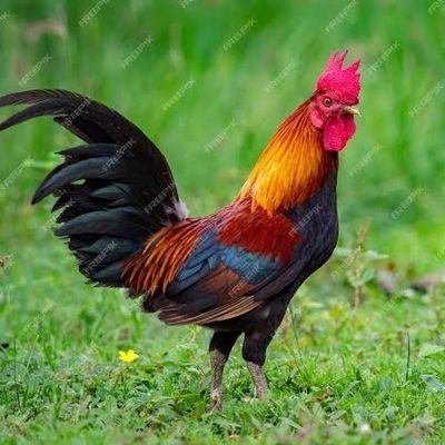 Justin86087's profile picture. I'm selfish