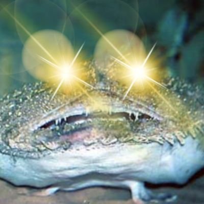 Lophius37's profile picture. #Bitcoin pleb stacking sats.

#working_class_hero