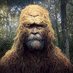 Jack Parsels (@magadeeplorable) Twitter profile photo Jack Parsels (@magadeeplorable) Twitter profile photo