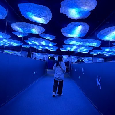 775eguchan's profile picture.