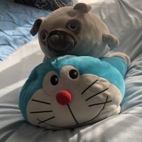 S (@shoma_0204) 's Twitter Profile Photo S (@shoma_0204) 's Twitter Profile Photo