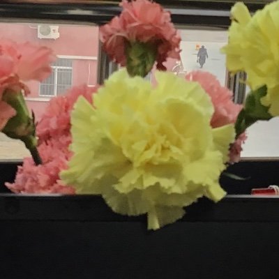 Hu3878645282566's profile picture. 