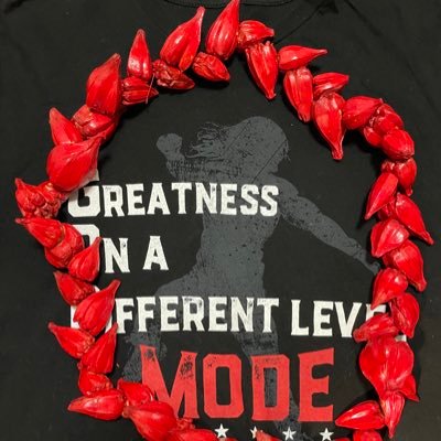 WWEの翻訳ブログを運営している”なも“と申します。 【世界一面白いWWEにハマる人を1万人増やす!】を目標に情報発信しています!≪ 翻訳ブログはこちらから↓≫