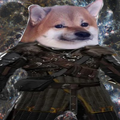 qwlltrm's profile picture. Support Ukraine  - donate here: https://t.co/8kJj6vOnMZ

набираю тексти на  Rust,Go,Python,TS
