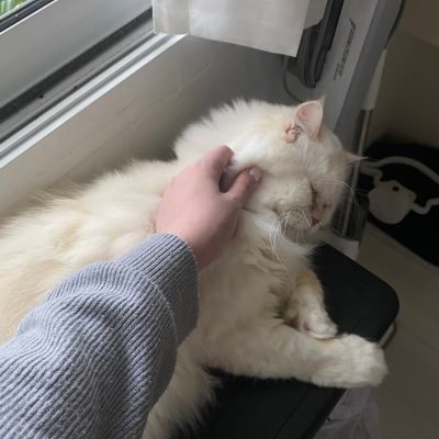 แม่บีโฮさんのプロフィール画像