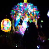 ぷりかっこ (@sakusakunicoz) Twitter profile photo