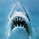 caitlyn stone - @sharkyjade - Twitter