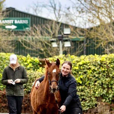 📍Cleaboy Stud & Coppice Farm 🎓UCD MSc Sports Management 👩🏼💻Tullamore Show