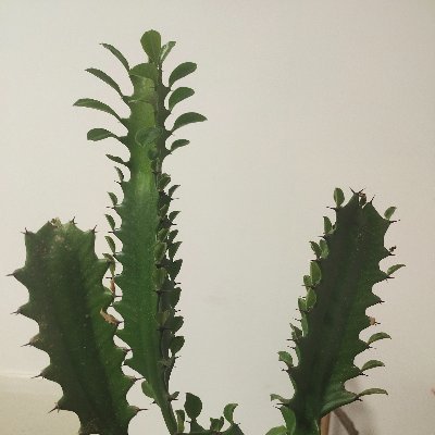 haolicui76154's profile picture. 及时互关秒回❤️🎀💯🇨🇳！互关互fo互粉互动互赞！