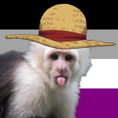 RubberMonkey 🖤🩶🤍💜さんのプロフィール画像