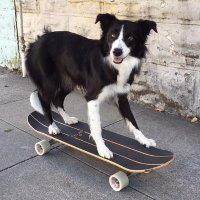 Oliver 🍞 (@howdy_ollie) 's Twitter Profile Photo