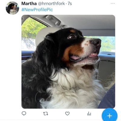hrnorthfork's profile picture. 