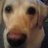 csmith8280's profile image
