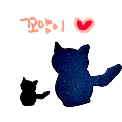 이로케이로케🫧さんのプロフィール画像