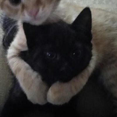 EPjazzyjamz7's profile picture. I love my wife  9/7/23 💕