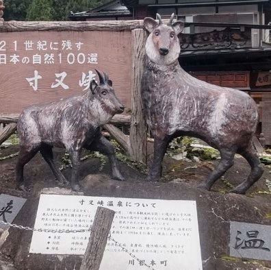 テント泊の魅力に取り憑かれ毎週のようにアルプスに繰り出してます。
テントで過ごす時間はとても素晴らしい
南アルプス南部住人
情報収集用