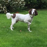 Wee Chill (@weechill67) 's Twitter Profile